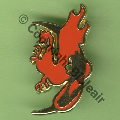 123  A1499 2019 2eDRILLE BR.123 EH.1.67 PYRENEES CAZAUX  FIA Sigle Griffes et butees Dos scintillant Src.Y.GENTY 